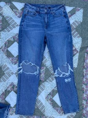 American Eagle Outfitters Strigid Mom Jean
